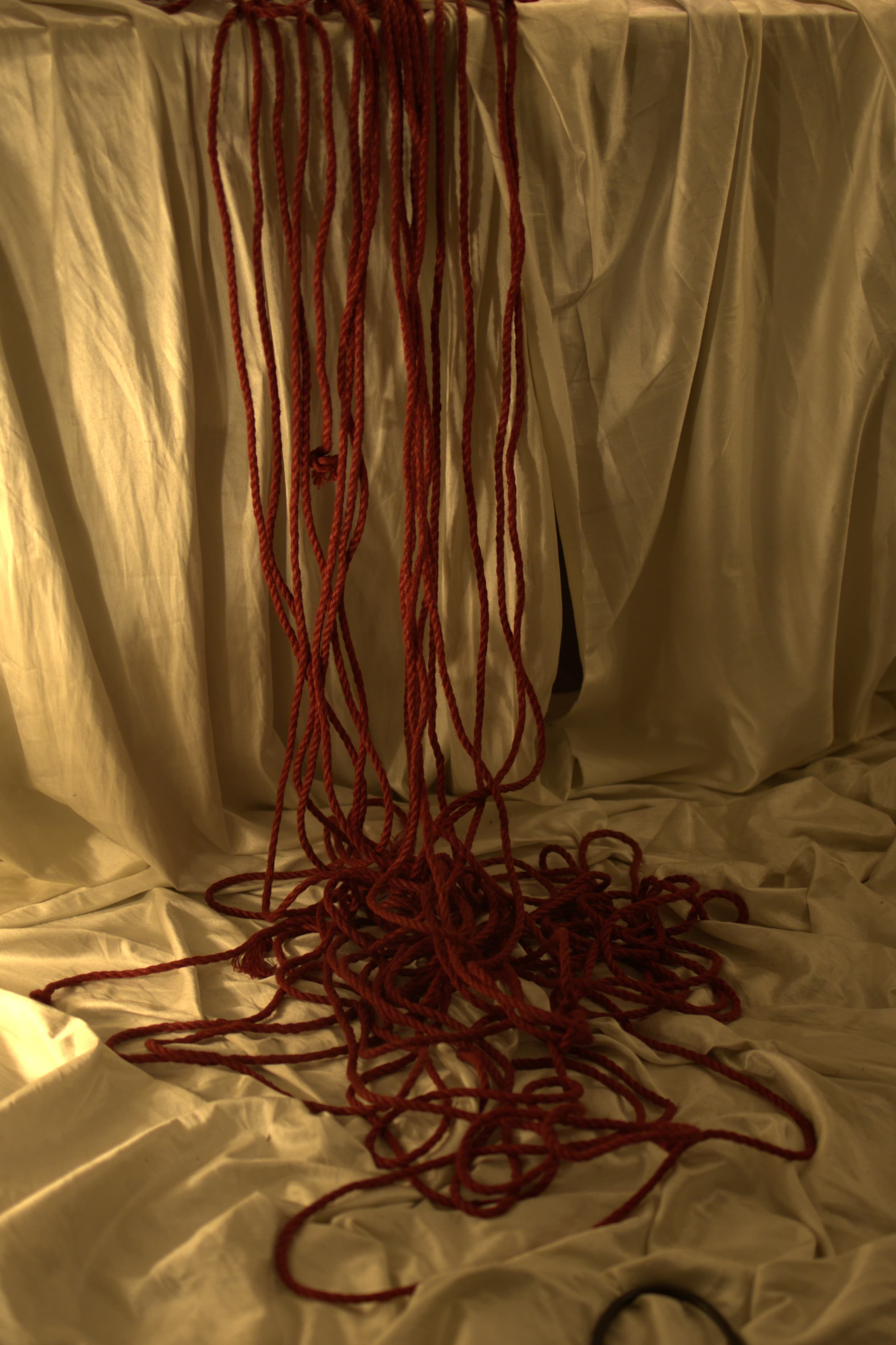 Artistic rope work demonstrating the care and attention of a private session